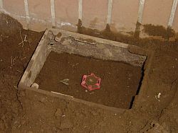 ���Ȃ��݂̎U�����B�g���ɂ����͊i�ʁI