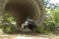 ���C���h�E�C���[����@�y�ǂ��甭��